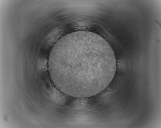 X0000099460820200805161045