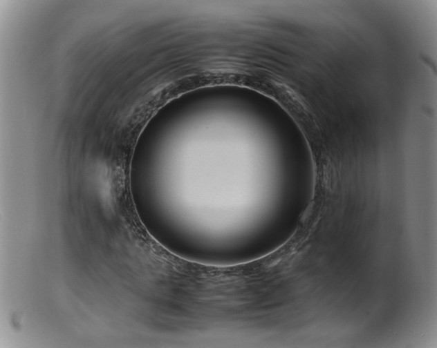 X0000099460821200805161045