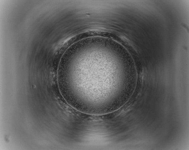 X0000099460822200805161045