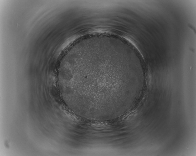 X0000099460823200805161045