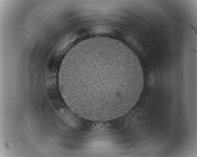 X0000099460824200805161045