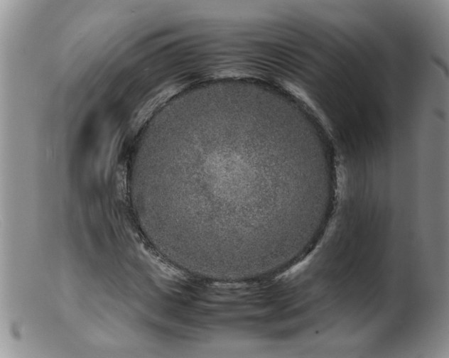 X0000099460825200805161045