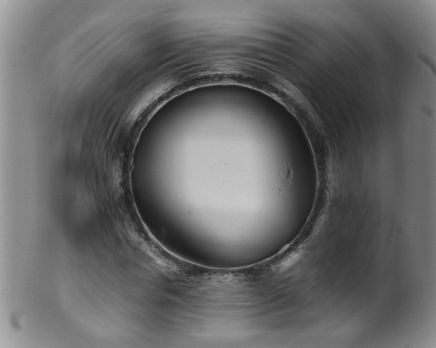 X0000099460826200805161045