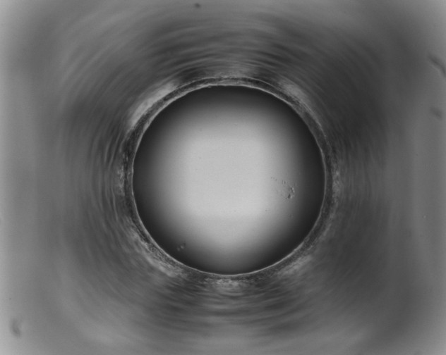 X0000099460827200805161045