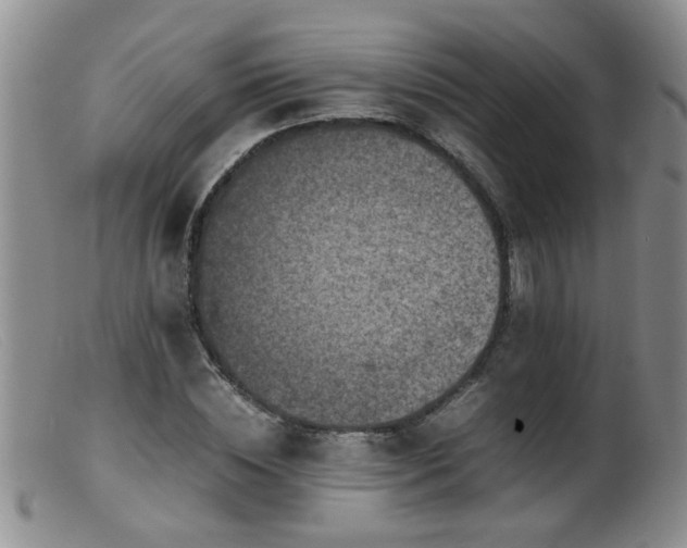 X0000099460828200805161045