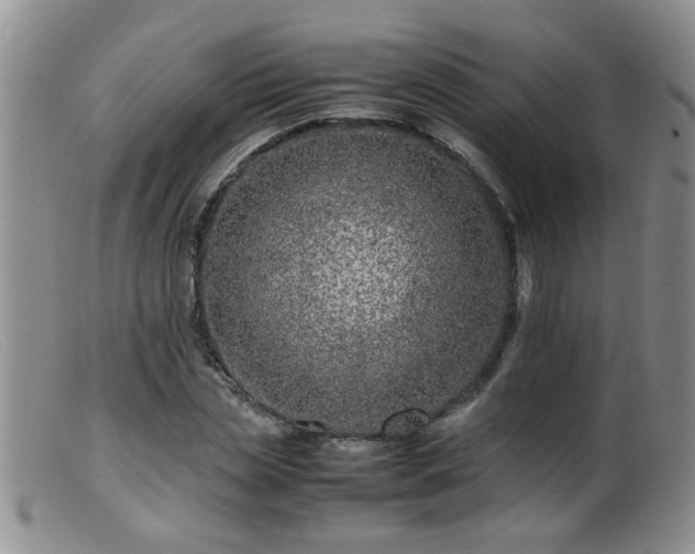 X0000099460829200805161045