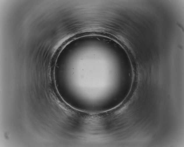 X0000099460830200805161045