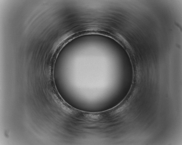 X0000099460831200805161045