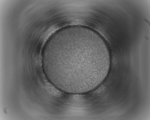 X0000099460832200805161045