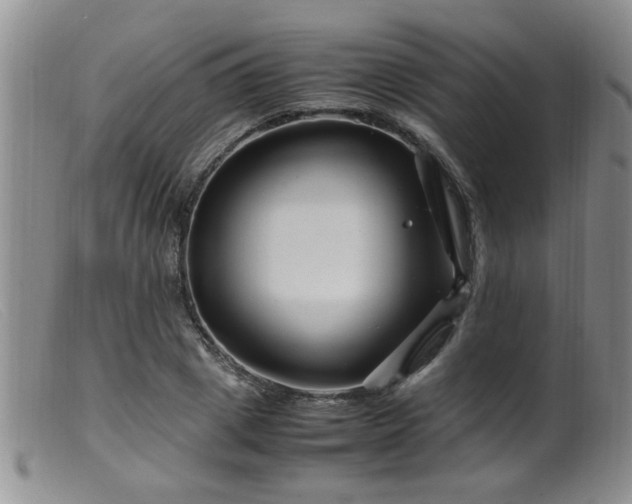 X0000099460833200805161045