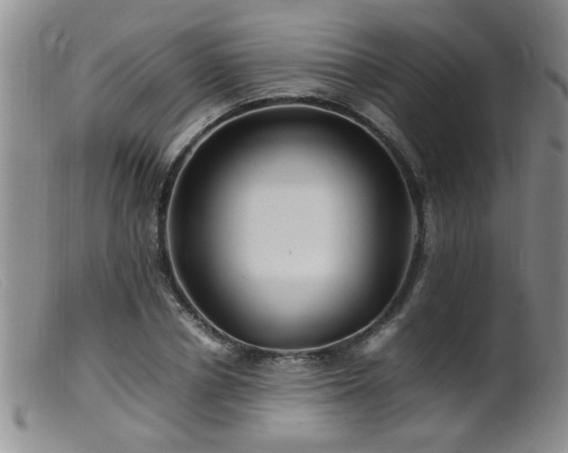 X0000099460834200805161045