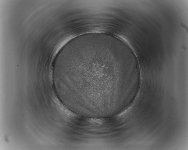 X0000099460835200805161045