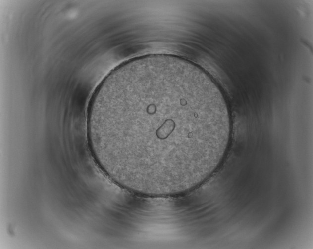 X0000099460836200805161045