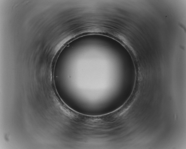 X0000099460837200805161045