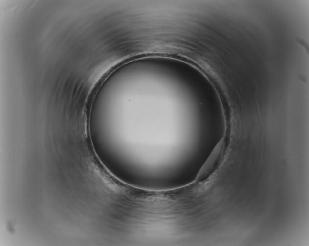 X0000099460838200805161045