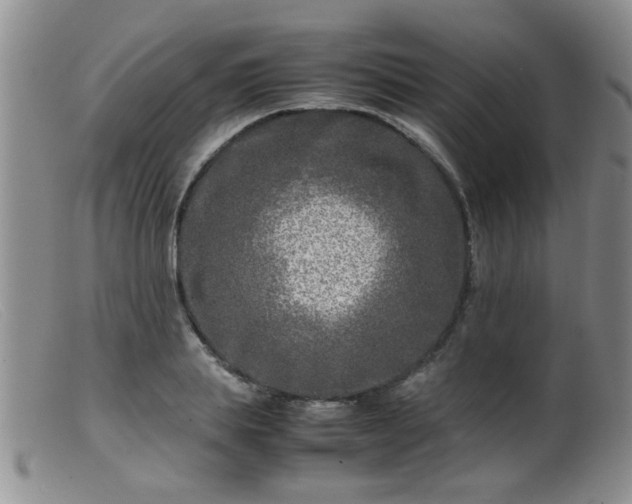 X0000099460839200805161045