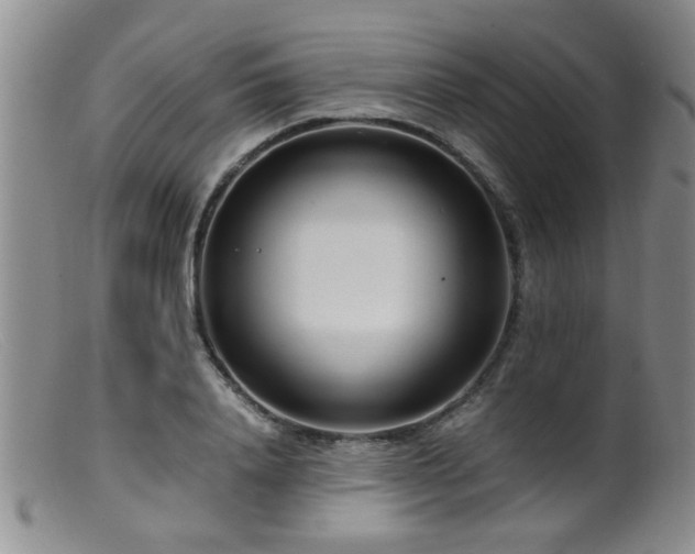 X0000099460840200805161045