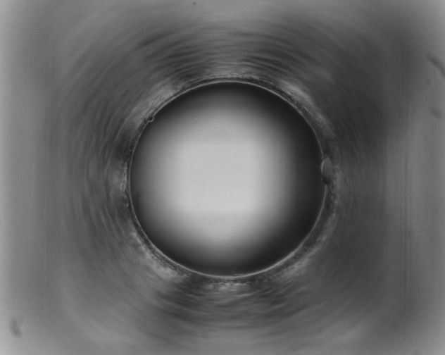 X0000099460841200805161045