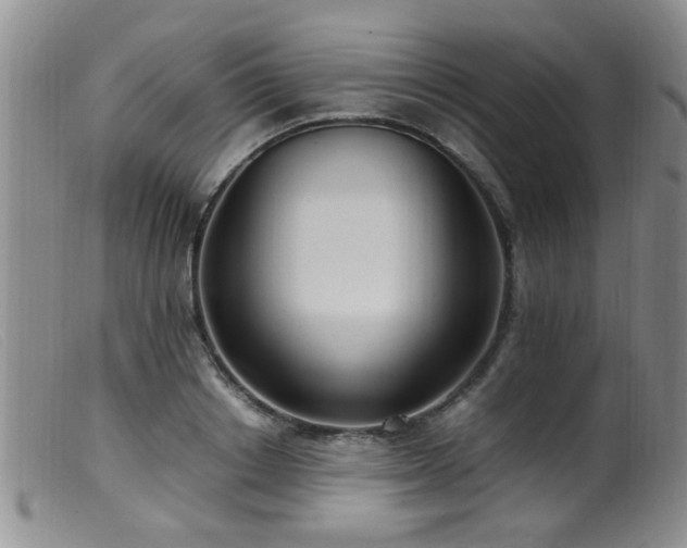 X0000099460842200805161045