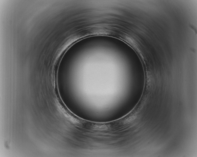 X0000099460843200805161045