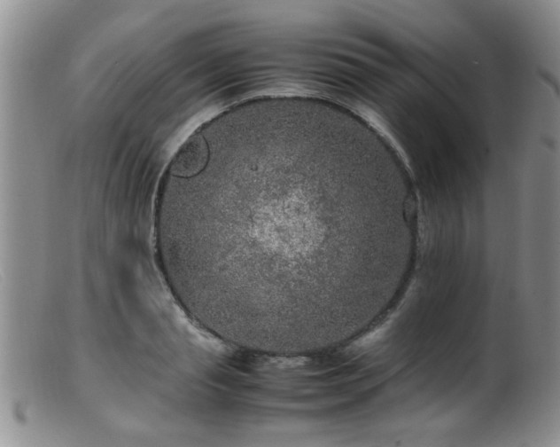 X0000099460845200805161045