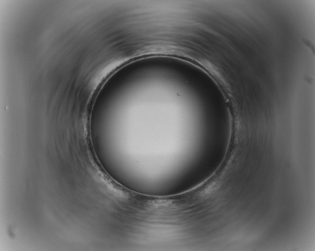 X0000099460846200805161045