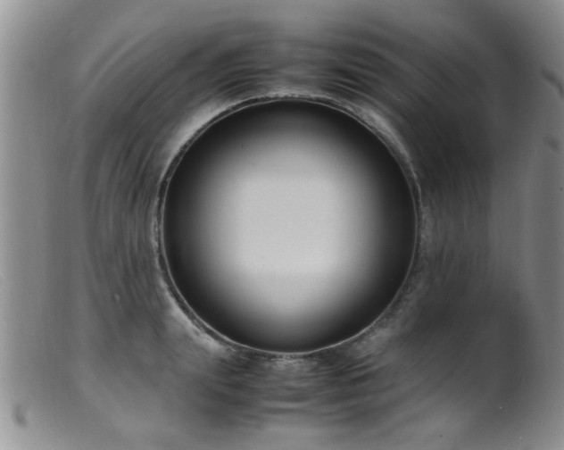 X0000099460847200805161045