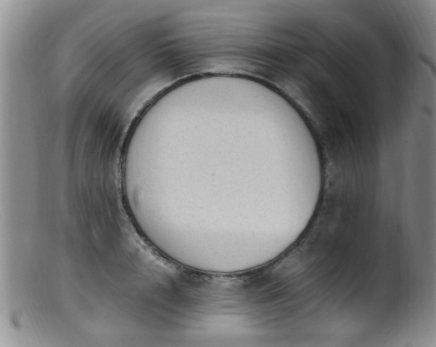 X0000099460848200805161045