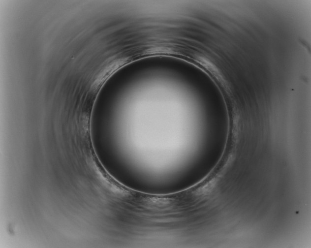 X0000099460849200805161045