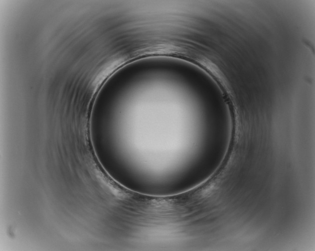 X0000099460850200805161045