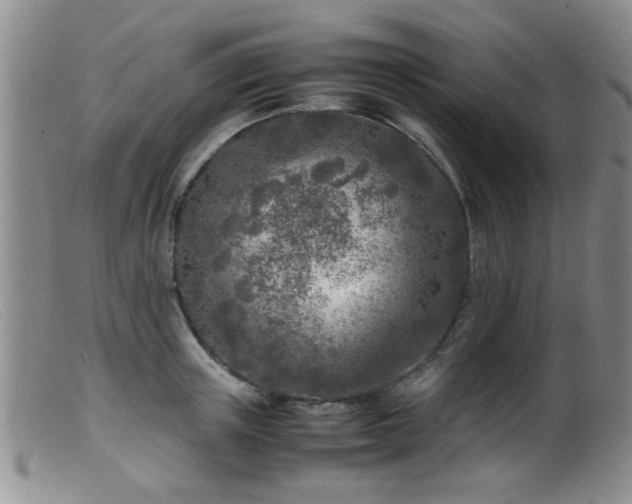 X0000099460851200805161045