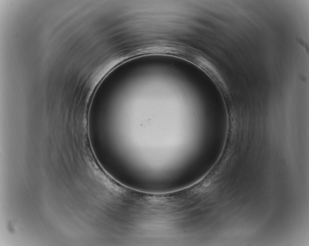 X0000099460852200805161045