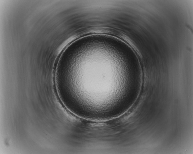 X0000099460853200805161045