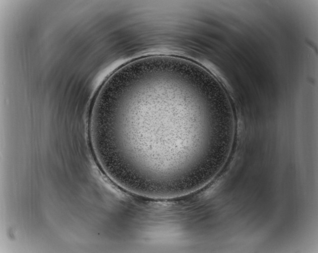 X0000099460854200805161045