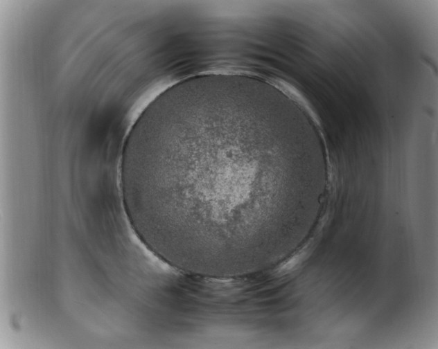 X0000099460855200805161045