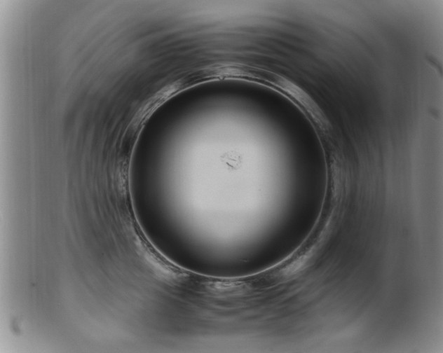 X0000099460857200805161045