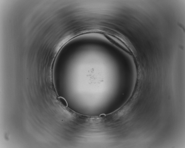 X0000099460858200805161045