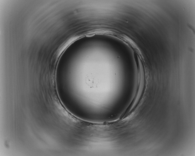 X0000099460860200805161045