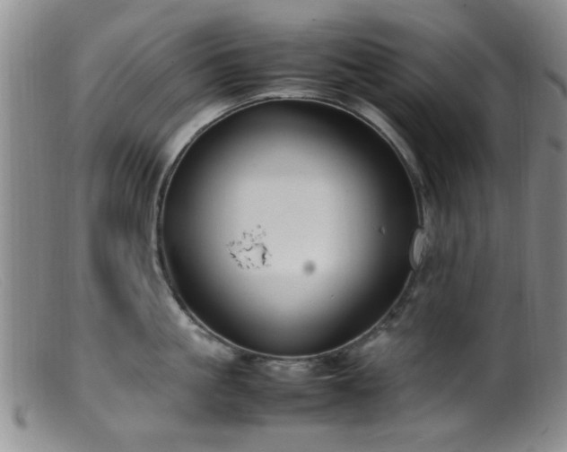 X0000099460861200805161045