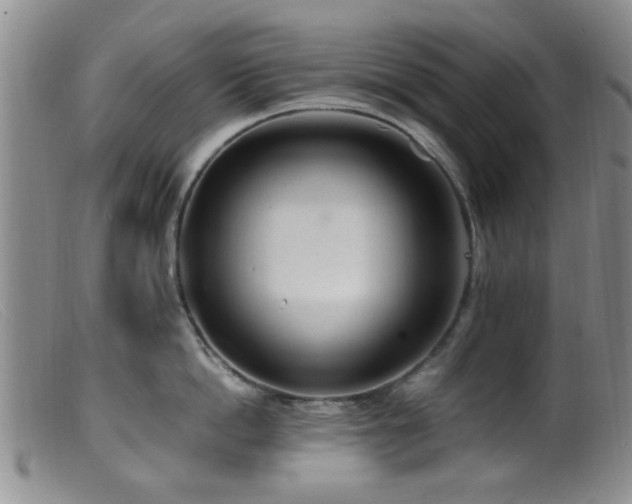 X0000099460862200805161045