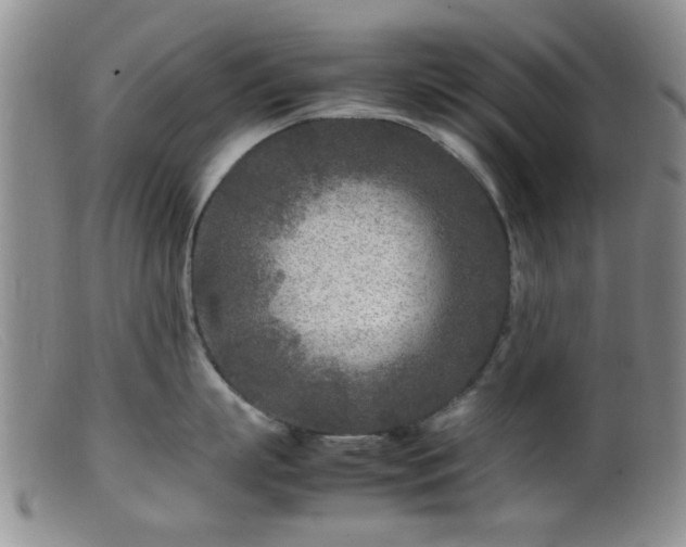 X0000099460863200805161045