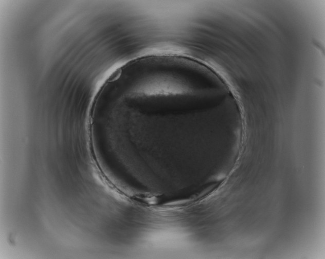 X0000099460864200805161045