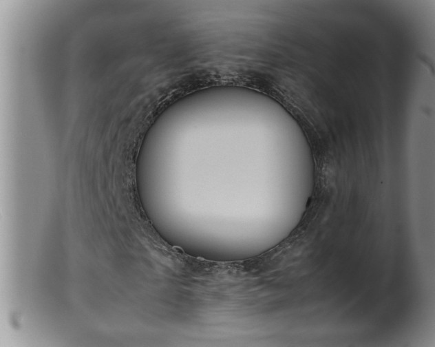 X0000099460865200805161045