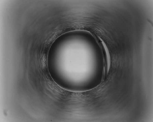 X0000099460866200805161045