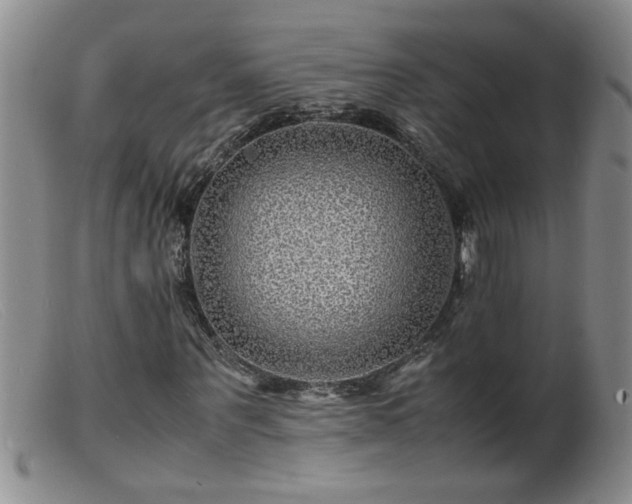 X0000099460867200805161045