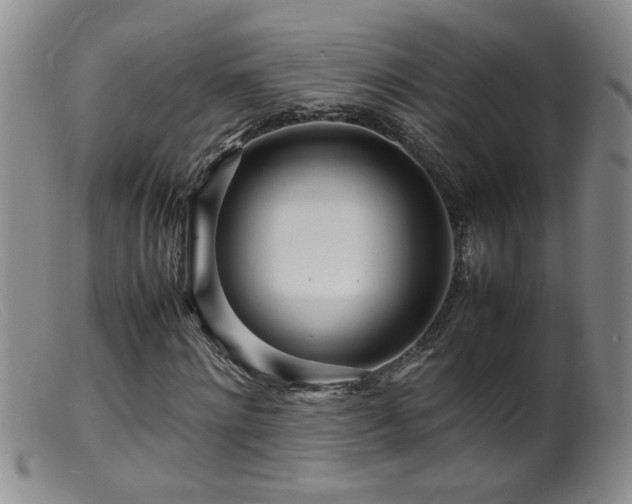 X0000099460868200805161045