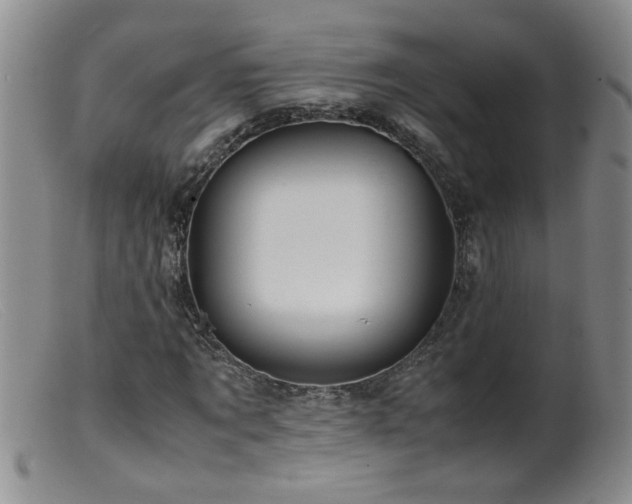 X0000099460869200805161045