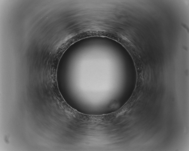 X0000099460870200805161045