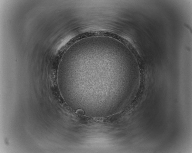 X0000099460871200805161044