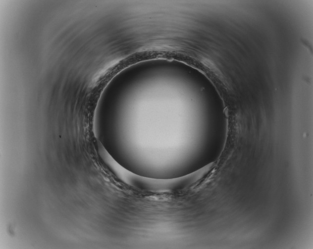 X0000099460872200805161044